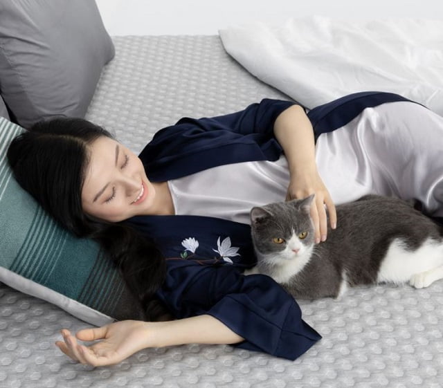 9 Sự Thật Thú Vị Về Giấc Ngủ! 2 9 Sự Thật Thú Vị Về Giấc Ngủ! 2