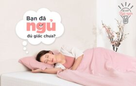 Bạn đã ngủ đủ giấc chưa?