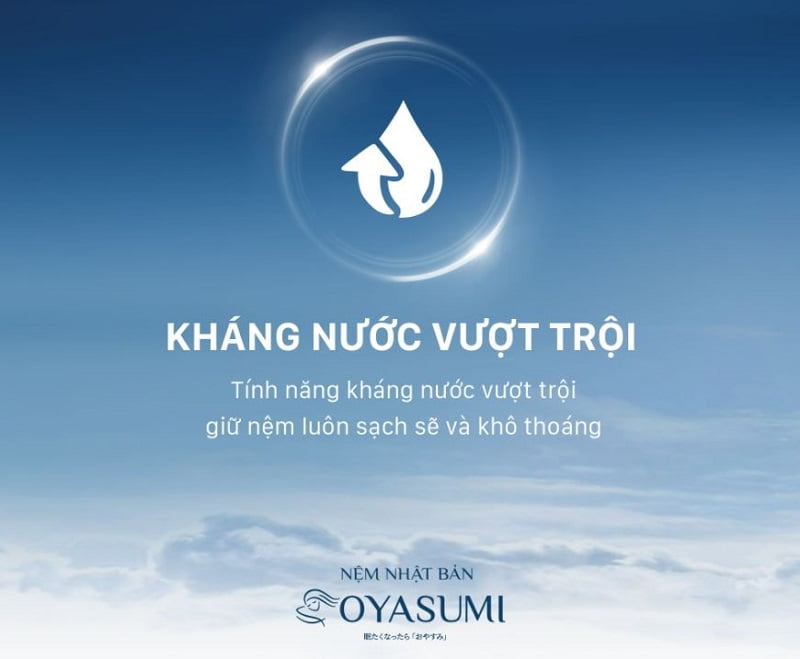 Đệm Nhật Oyasumi 7 Zone 3 Đệm Nhật Oyasumi 7 Zone 3