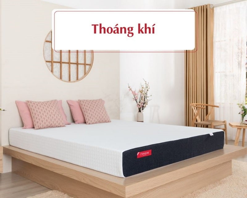 Đệm OYASUMI Premium 1 Tấm (massage ) 5