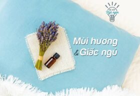 Mùi hương tác động tới giấc ngủ như thế nào?