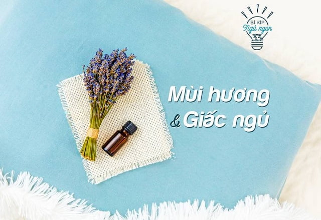 Mùi hương tác động tới giấc ngủ như thế nào? Mùi hương tác động tới giấc ngủ như thế nào?