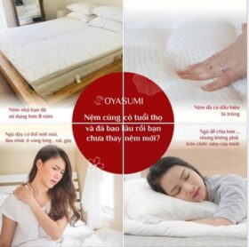 Thời điểm thích hợp để thay nệm