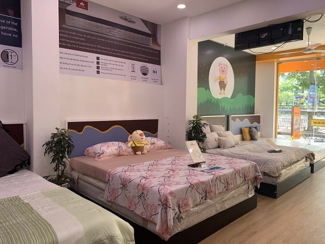 Đại lý đệm Nhật Tại Hà Nội Đại lý đệm Nhật Tại Hà Nội