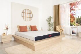 Đệm Nhật giá bao nhiêu? 2